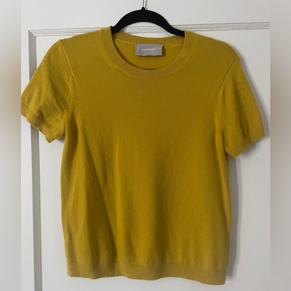 Everlane The Cashmere Sweater Tee